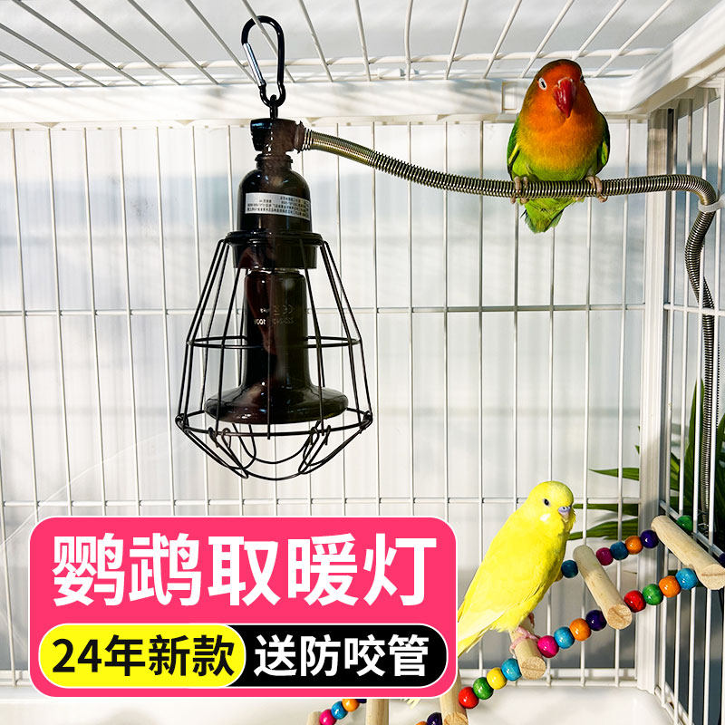 牡丹虎皮鹦鹉冬季保温灯加热保暖灯取暖器风暖温控器加温升温设备,畜牧/养殖物资,养殖保温灯,淘宝优惠券,粉丝福利购,淘宝优惠卷