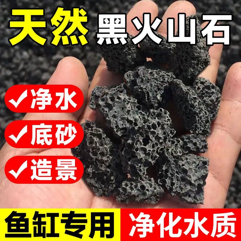 黑色天然火山石颗粒黑火山石拌土多肉铺面开鱼缸过滤底砂水族造景