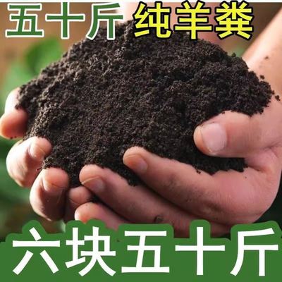 纯羊粪肥有机发酵腐熟羊粪蛋养花种菜专用营养土农家肥通用无异味