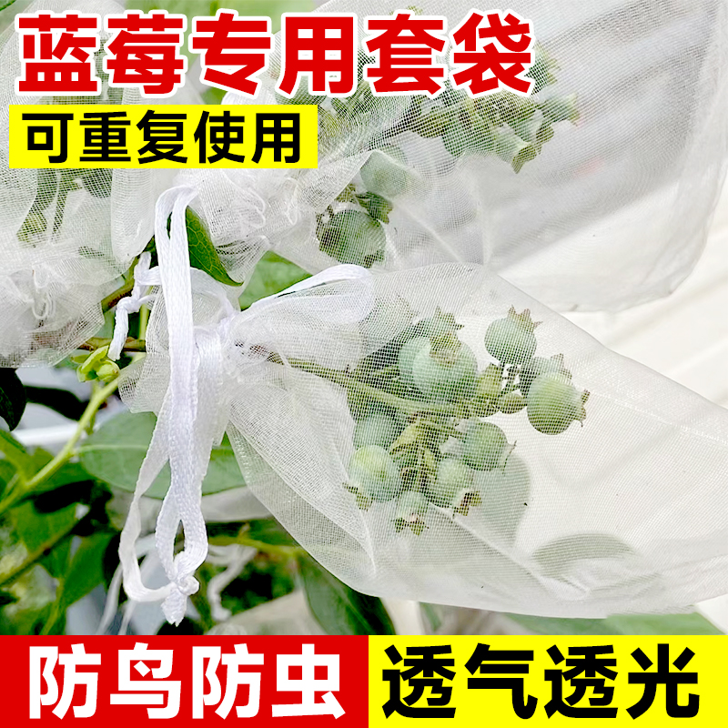 蓝莓套袋专用果袋草莓樱桃果树果子防...