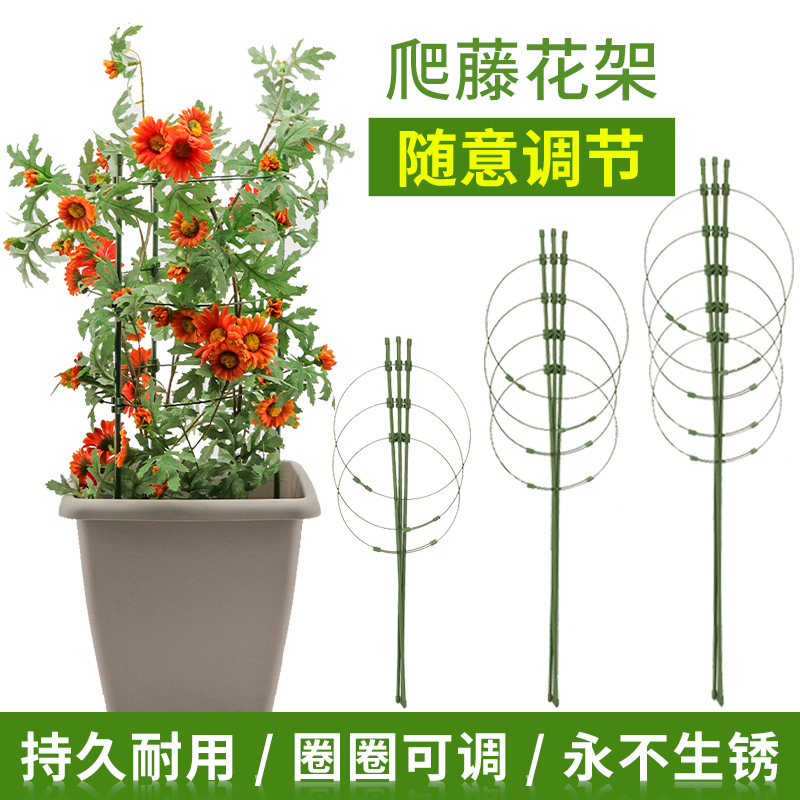 花架爬藤架花盆支架植物攀爬架铁艺室内阳台月季蔷薇铁线莲支撑杆 鲜花速递/花卉仿真/绿植园艺 商务用花 原图主图