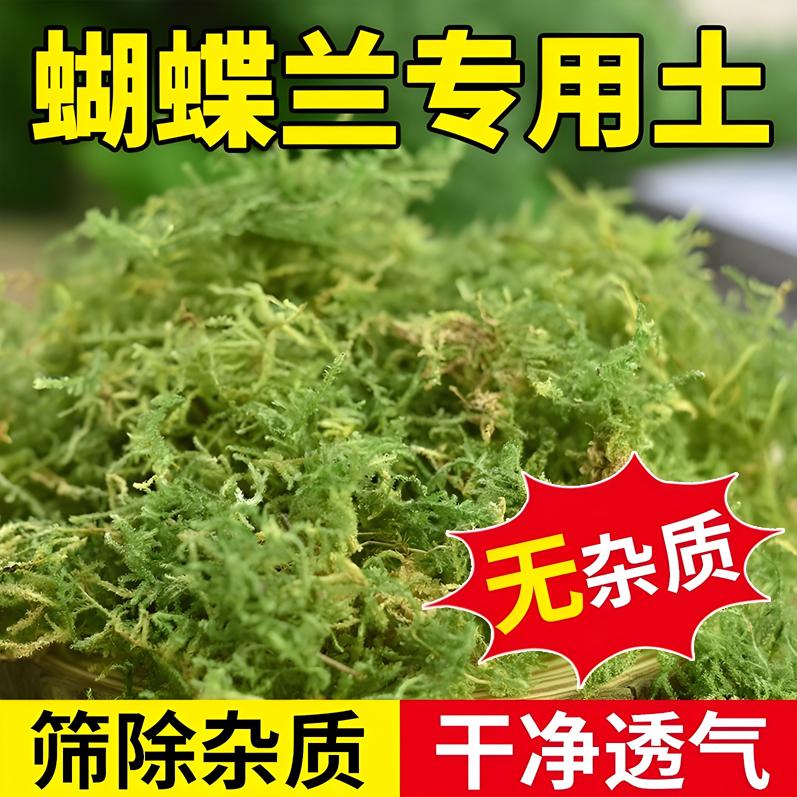 干苔藓水苔纯天然青苔兰花蝴蝶兰专用营养土爬宠乌龟垫材石斛种植 鲜花速递/花卉仿真/绿植园艺 智能园艺用品 原图主图