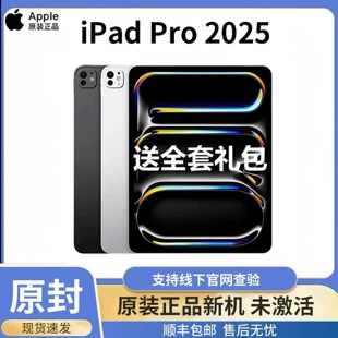 Apple/苹果 11 英寸 iPad Pro2025新款平板电脑13寸 M5芯片 2024
