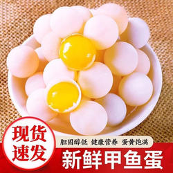 2025年现挖甲鱼蛋食用老人小宝宝喜欢吃现发
