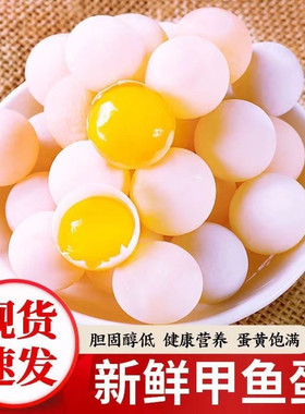2026年现挖无精甲鱼蛋新鲜食用补品养生老人小宝宝喜欢吃现发