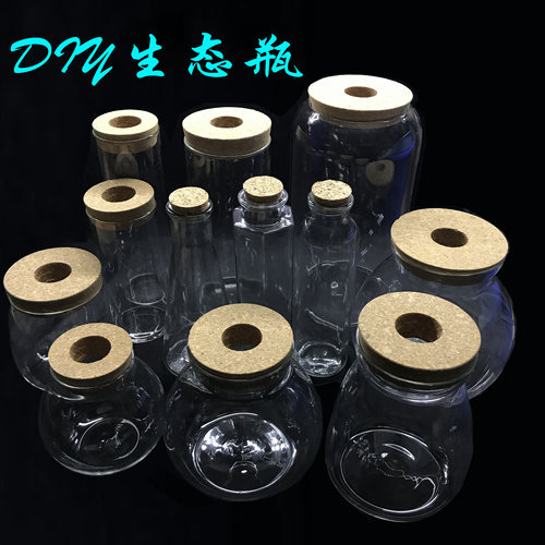 生态瓶DIY鱼微景观生态球高朋硅创意DIY设计花瓶玻璃鱼缸办公桌 - 封面