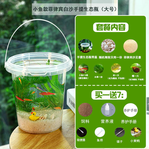 批发专用链接五年级科学生态瓶diy小鱼斑马鱼免换水微景观观赏鱼