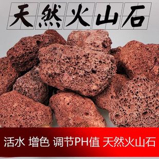 鱼缸天然活性火山石造景石火山岩细菌屋水族箱外置过滤材料