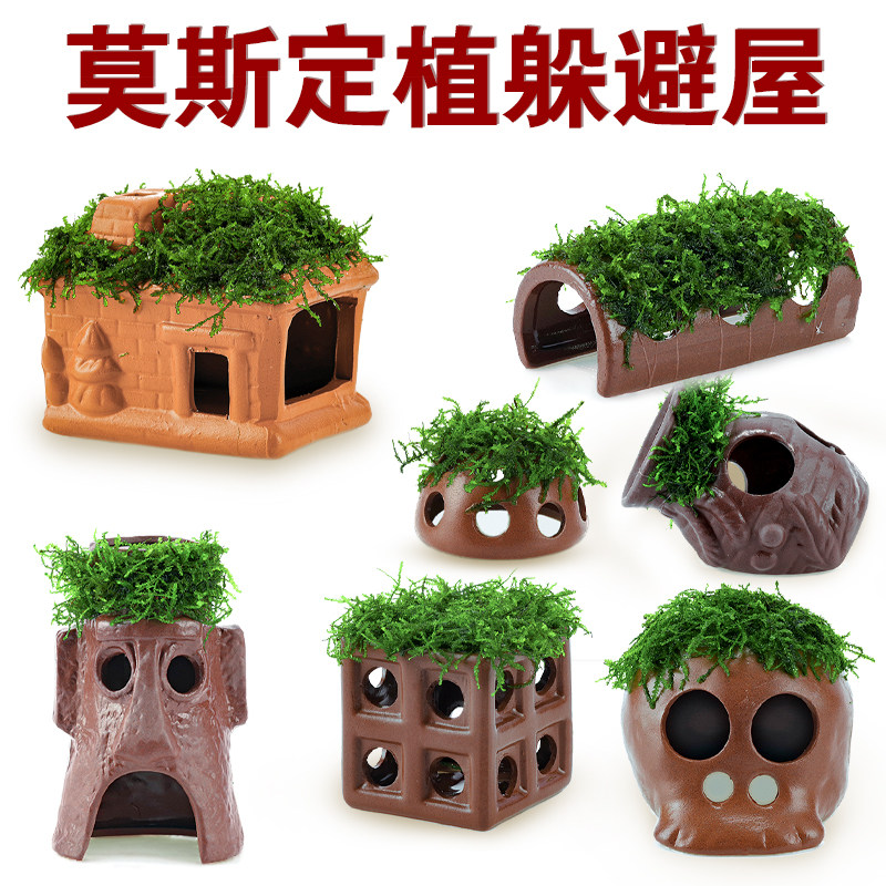 鱼虾躲避屋窝鱼缸造景水晶虾洞莫斯懒人水草植物水族小鱼孵化陶罐,宠物/宠物食品及用品,造景/装饰,淘宝优惠券,粉丝福利购,淘宝优惠卷