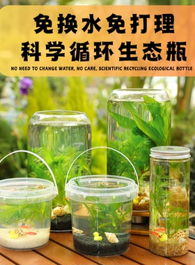 初中生物科学生态瓶小鱼迷你缸活体桌面摆件水族水草缸diy生态瓶