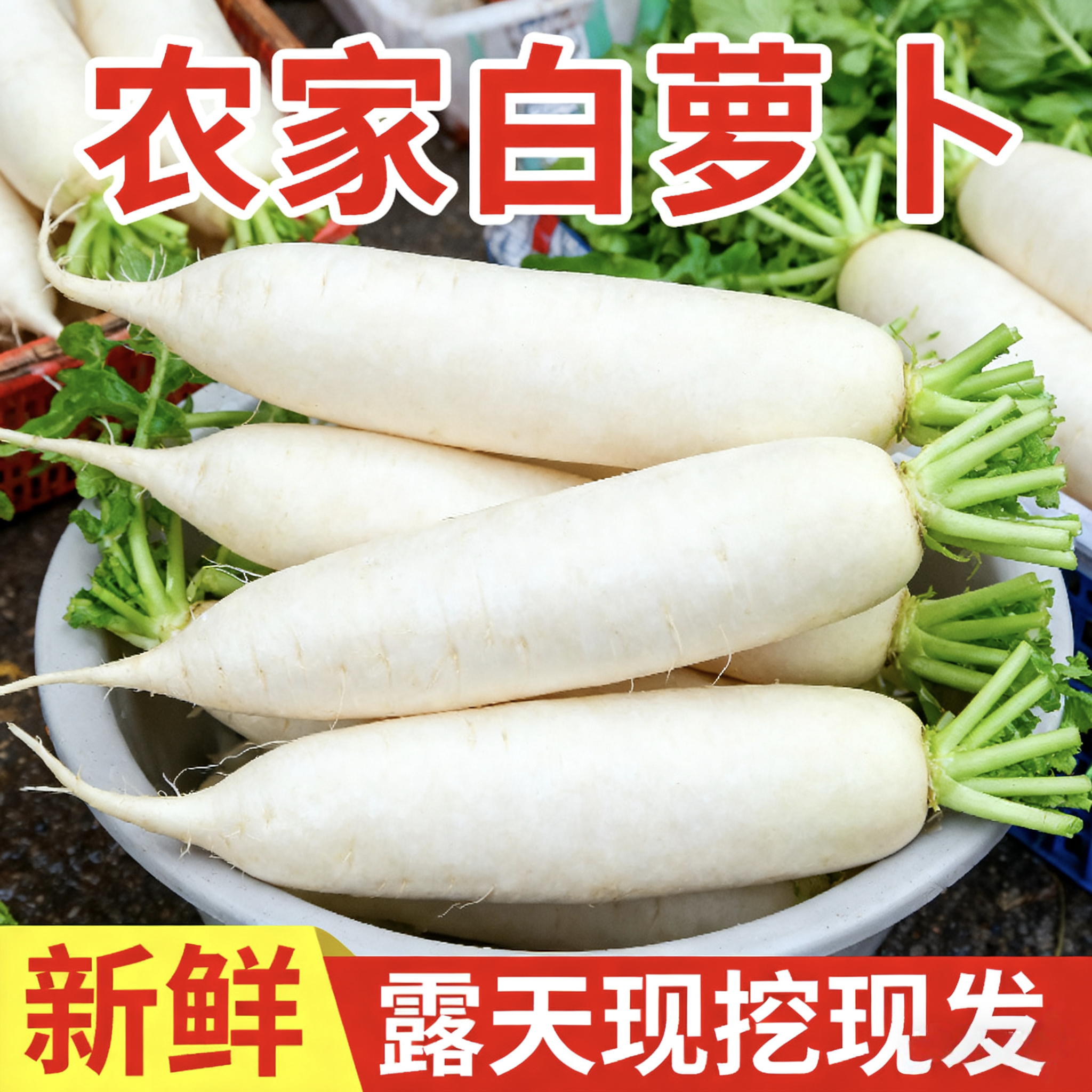 萝卜生吃新鲜自种白萝卜甜脆现挖农家多汁泡菜蔬菜大萝卜批发当季