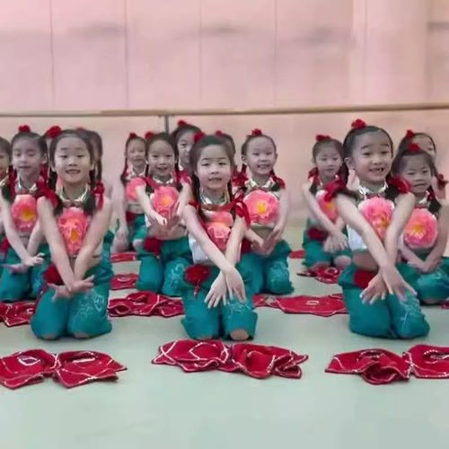 辣妹子秧歌舞演出服桃李杯舞蹈服古典舞服元旦儿童喜庆舞台表演服