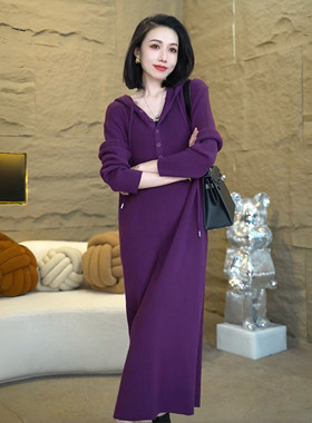 宽松显瘦毛衣裙轻奢高级感休闲连帽女款气质服装连衣裙6965