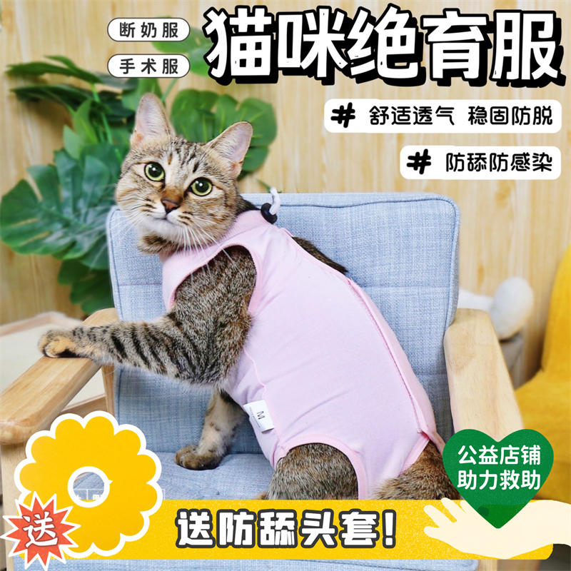 猫咪绝育服母猫断奶服猫咪手术服术后防舔衣服防感染夏季透气弹性