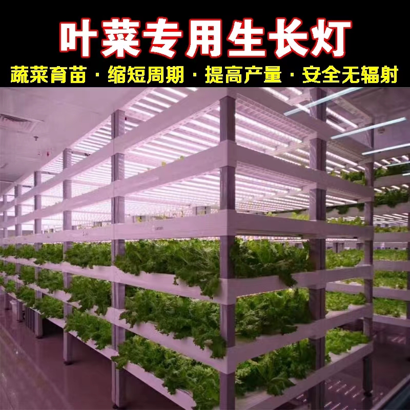 儒风植物灯系列增产增收