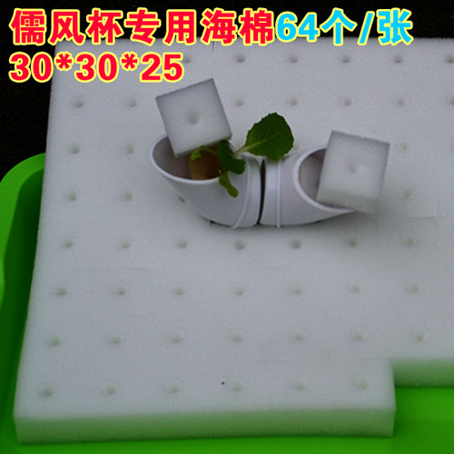 32#儒风柱专用立体种植蔬菜种基地无土栽培育苗用带凹洞定植海绵 - 封面
