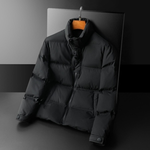 2025秋冬装90%绒立领羽绒服男 钱塘6006-5109-P330 平铺图图片