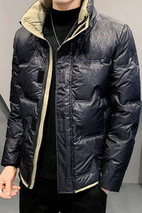 2021秋冬装新款立领羽绒服男加厚 钱塘3029-D1995-P245  真模图片