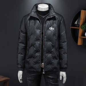 2025秋冬装90%绒立领羽绒服男 钱塘6006-5123-P320 假模图图片