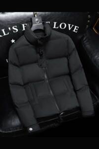 2025秋冬装90%绒立领羽绒服男 钱塘6006-5109-P330 沙发图图片