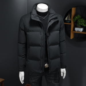 2025秋冬装90%绒立领羽绒服男 钱塘6006-5109-P330 假模图图片