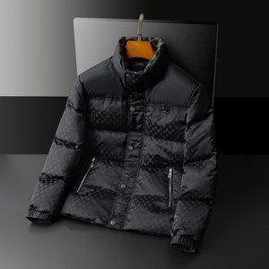 2025秋冬装90%绒立领羽绒服男 钱塘6006-5121-P330 平铺图图片