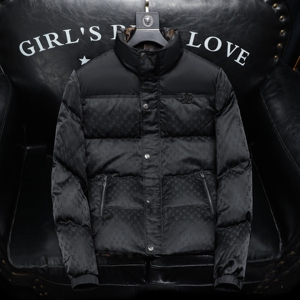 2025秋冬装90%绒立领羽绒服男 钱塘6006-5121-P330 沙发图图片