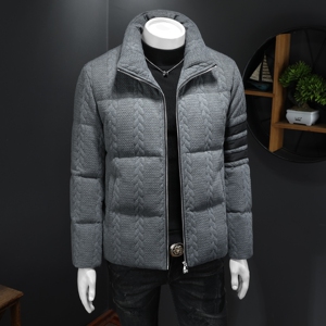 2025秋冬装90%绒立领羽绒服男 钱塘6006-5310-P310 假模图图片