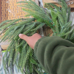 满20 无售后不退换 包邮