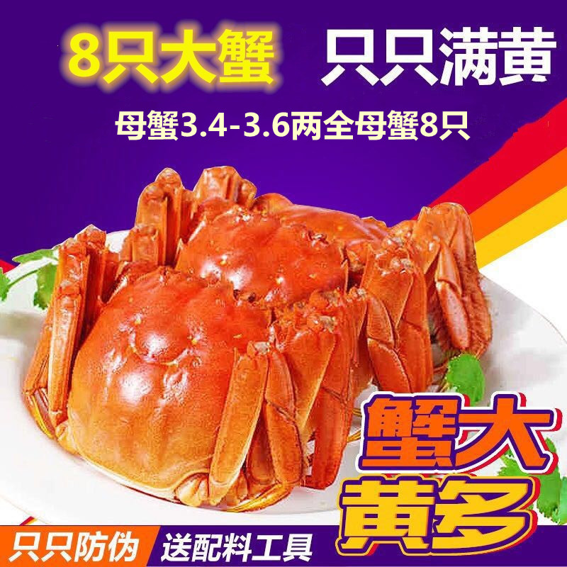 [Live crabs]goods in stock Yang Mu Large Crab Crabs Crabs 3.4-3.6 Two 8 loadedin the Aquatic meat/Fresh fruits and vegetables/Cooked , Seafood/Aquatic/Product , Crabs , Crabs  category - from Buy2taobao.com to provide professional Taobao agent buy service