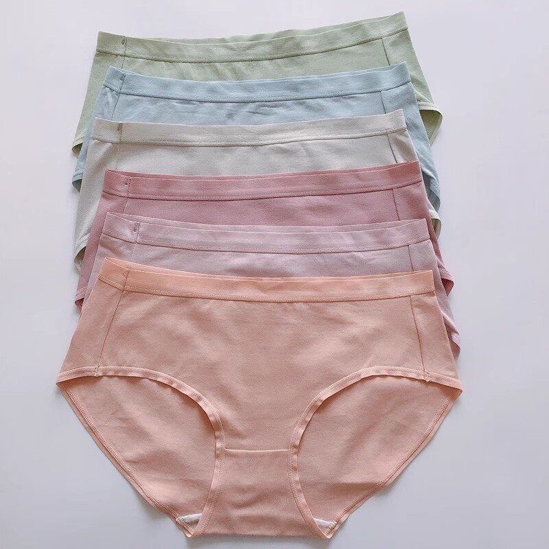 正品康妮雅家居服睡衣柔软棉纯色女三角裤