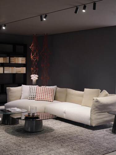 B&B Italia Dambo花瓣沙发 窝进去享受舒适