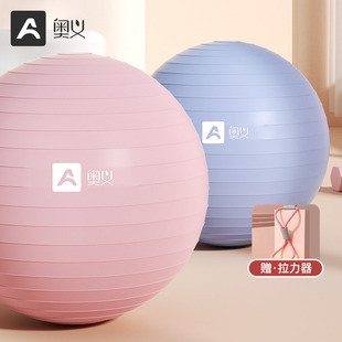 健身球儿童感统训练大龙球孕妇专用助产减肥球 瑜伽球加厚防爆正品