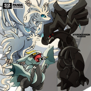 宝可梦联名t恤捷克罗姆莱希拉姆神奇宝贝周边衣服学生情侣装卫衣