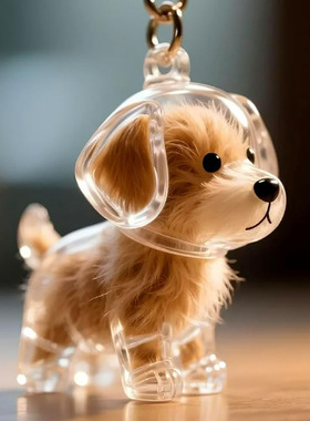 独立站Keychain for collecting cat and dog hair狗毛发的钥匙扣