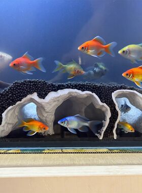 亚马逊Printed Natural Tunnel Pleco Cave 3D打印天然隧道异型洞