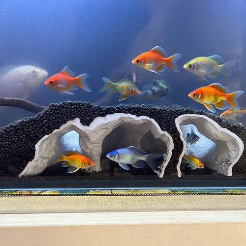 亚马逊Printed Natural Tunnel Pleco Cave 3D打印天然隧道异型洞