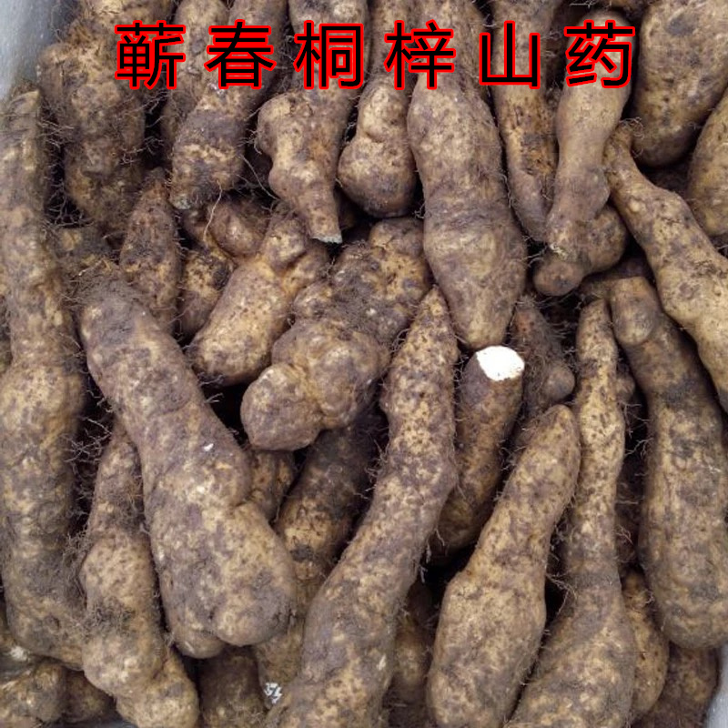 湖北黄冈蕲春土特产本地桐梓山药带皮4斤半装新鲜桐梓山药包邮