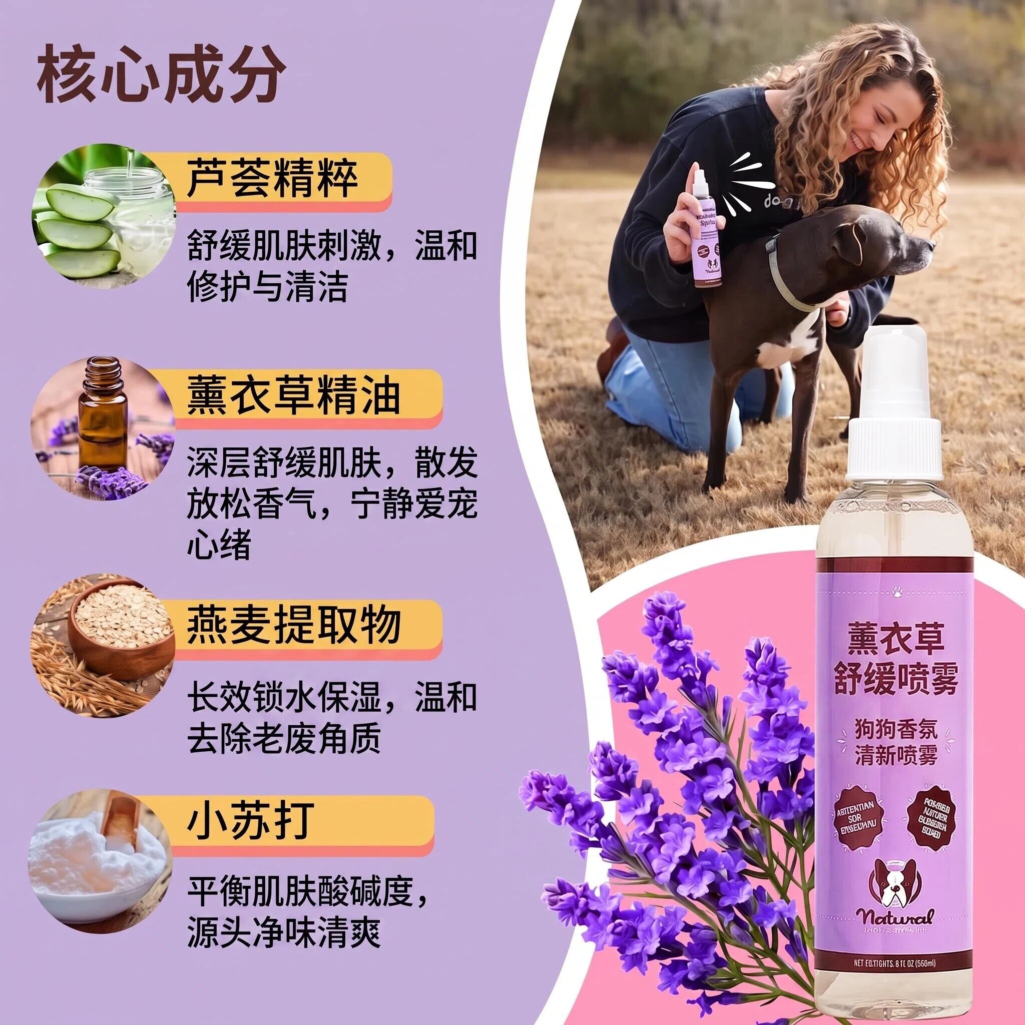 美国薰衣草精油狗喷雾舒缓清洁图片