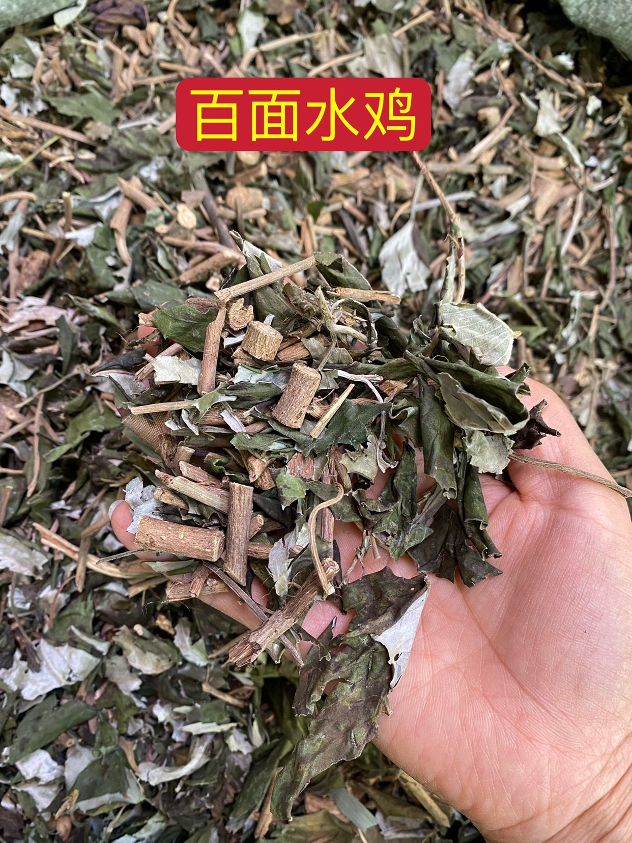 野生天然白面水鸡中药材白鹤藤 白背丝绸一匹绸 银背藤500g克包邮