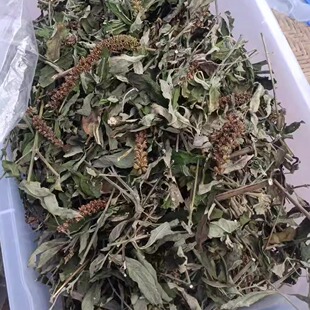 包邮潮汕青草药白背枫驳骨丹独叶埔姜青荆布荆自晒枝叶干品