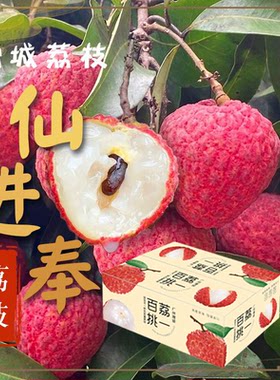 增城仙进奉荔枝桂味顺丰空运直发