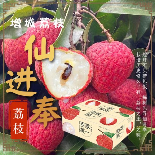 增城仙进奉荔枝桂味顺丰空运直发
