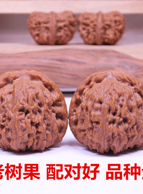 虎过庄老树文玩核桃狮子头虎头满天星苹果园官帽四座楼磨盘南疆石