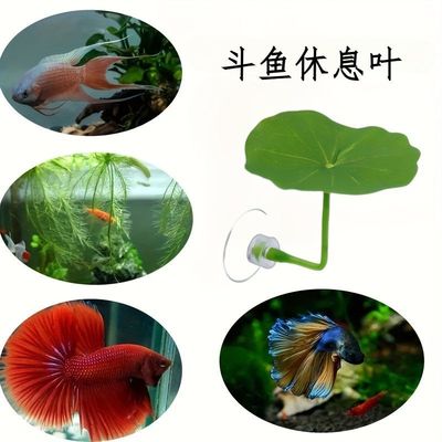 泰国斗鱼仿真睡觉休息躲避水族产卵水草叶子荷叶鱼缸装饰造景摆件