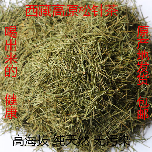 特级西藏高原野生松针茶西藏特产