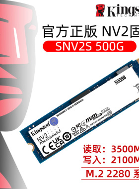 金士顿SNV2S固态硬盘500G台式机电脑1T笔记本ssd250GNVMe PCIe4.0