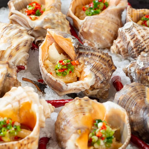 粉丝大海螺10个蒜蓉味酒店宴席海鲜特色菜半成品菜预制菜整箱批发
