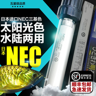 NEC6700K鱼缸灯龙鱼专用灯龙鱼发色诱色烤色潜水灯龙鱼小夜灯