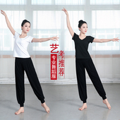 舞蹈练功服女套装 成人专业形体裤 学生艺考礼仪训练服上衣现代舞服